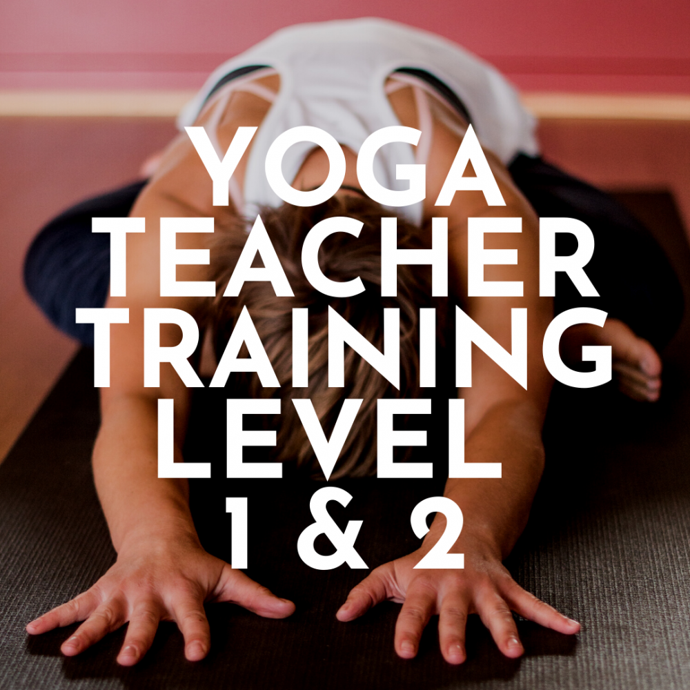 Best yoga studio in Nelson. We are Kindred.