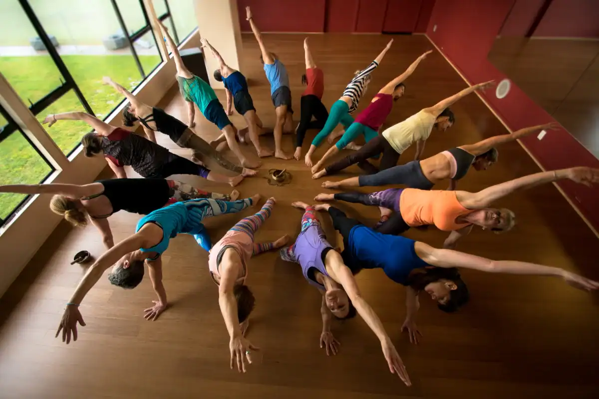 Yoga students practising together at Kindred Studio, Nelson